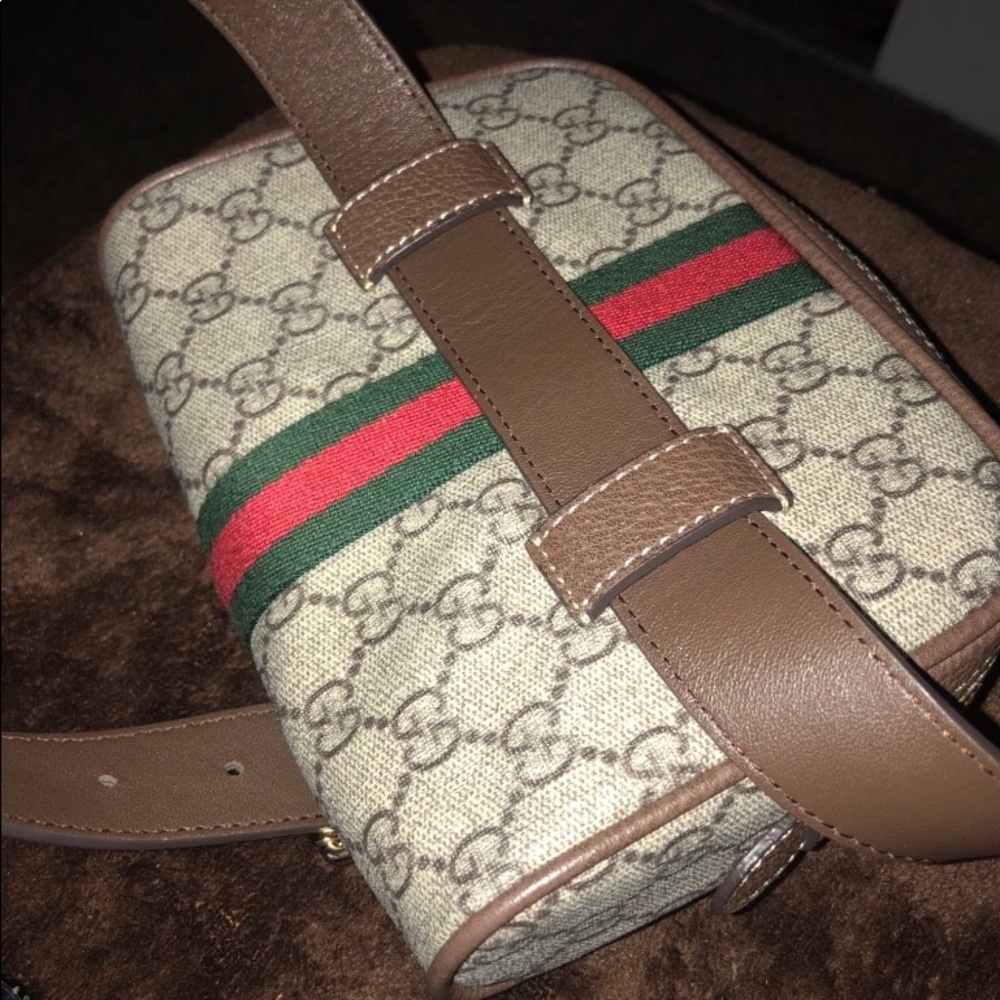 Gucci phany pack